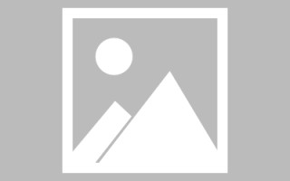 丽江武清网站建设方案（天津武清政府招标网）